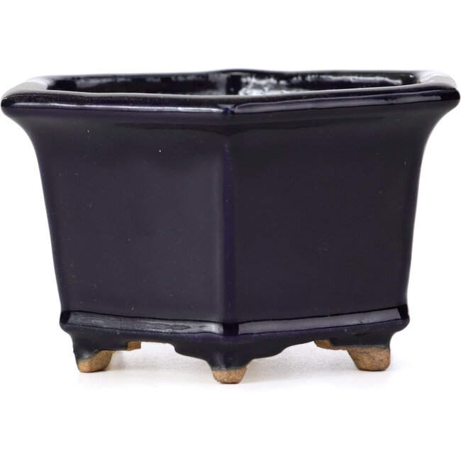 Sechseckige blaue Bonsaischale von Hattori - 126 x 113 x 72 mm