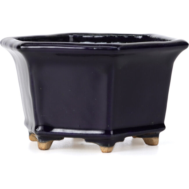 Vaso per bonsai esagonale blu di Hattori - 126 x 113 x 72 mm