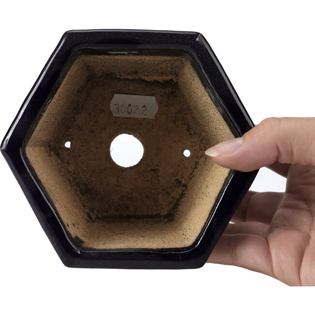 Maceta de bonsái azul hexagonal de Hattori - 126 x 113 x 72 mm