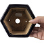 Pot à bonsaï hexagonal bleu par Hattori - 126 x 113 x 72 mm