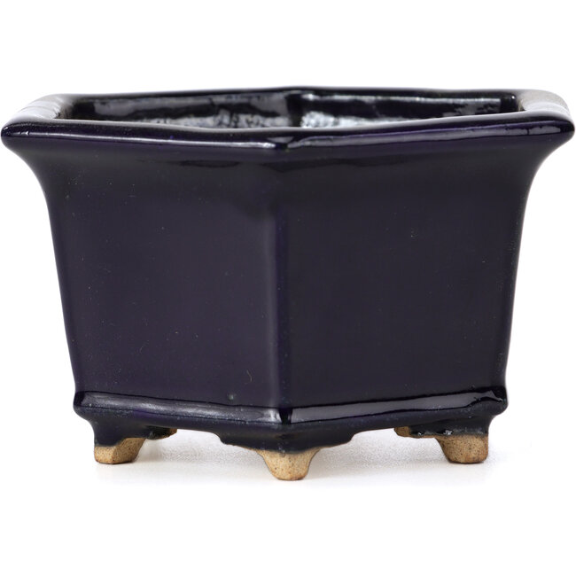 Vaso per bonsai esagonale blu di Hattori - 126 x 113 x 72 mm