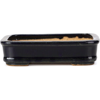 Hattori Tomoyuki Pot à bonsaï rectangulaire bleu 135 mm par Hattori, Tokoname, Japon  Hattori Tomoyuki Pot à bonsaï rectangulaire bleu 135 mm par Hattori, Tokoname, Japon