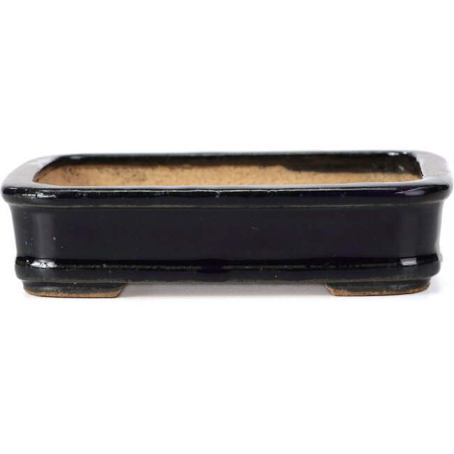 Maceta de bonsái rectangular azul de Hattori - 135 x 101 x 33 mm