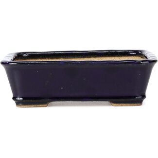  Hattori Tomoyuki 142 mm rectangular blue bonsai pot by Hattori, Tokoname, Japan