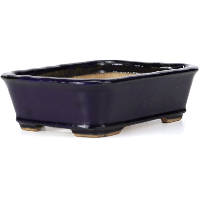 Maceta de bonsái rectangular azul de Hattori - 142 x 105 x 42 mm