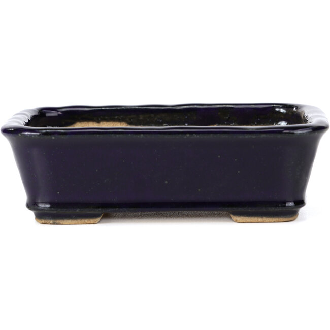 Pot à bonsaï rectangulaire bleu par Hattori - 142 x 105 x 42 mm