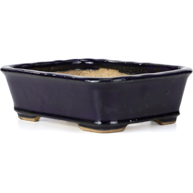 Maceta de bonsái rectangular azul de Hattori - 142 x 105 x 42 mm