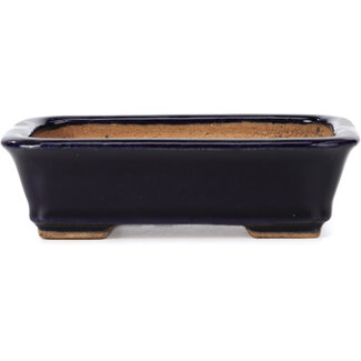  Hattori Tomoyuki 135 mm rectangular blue bonsai pot by Hattori, Tokoname, Japan