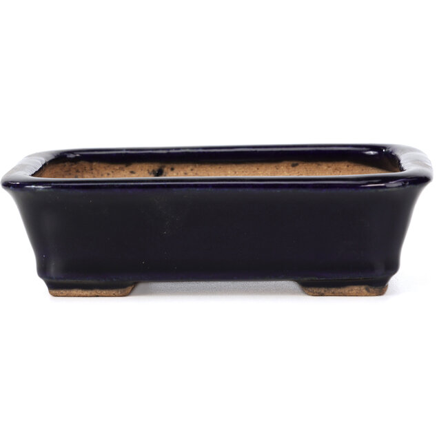 Maceta de bonsái rectangular azul de Hattori - 135 x 101 x 38 mm