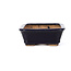 Rectangular blue bonsai pot by Hattori - 135 x 101 x 38 mm