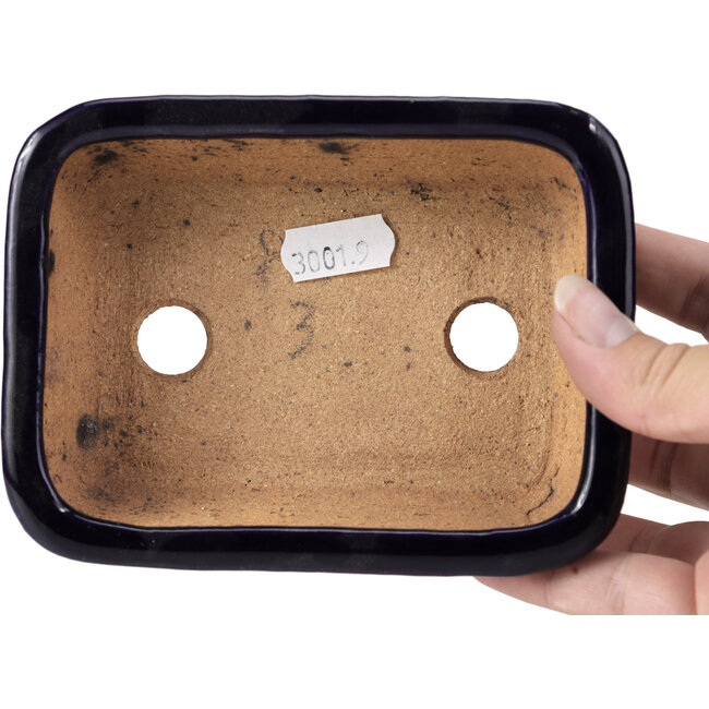Maceta de bonsái rectangular azul de Hattori - 135 x 101 x 38 mm