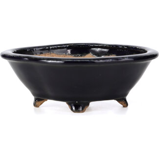  Hattori Tomoyuki 133 mm mokko blauwe bonsai pot van Hattori, Tokoname, Japan