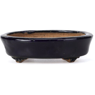  Hattori Tomoyuki 107 mm oval blue bonsai pot by Hattori, Tokoname, Japan