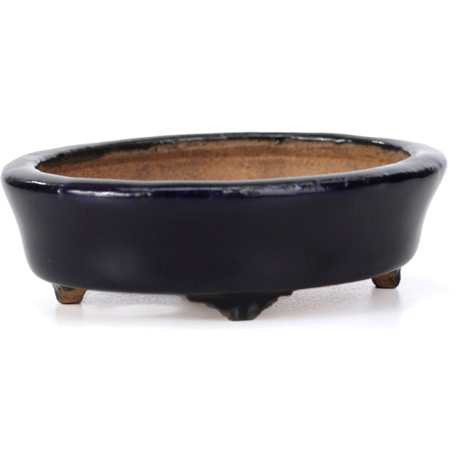 Maceta de bonsái azul ovalada de Hattori - 107 x 91 x 32 mm