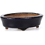 Oval blue bonsai pot by Hattori - 107 x 91 x 32 mm