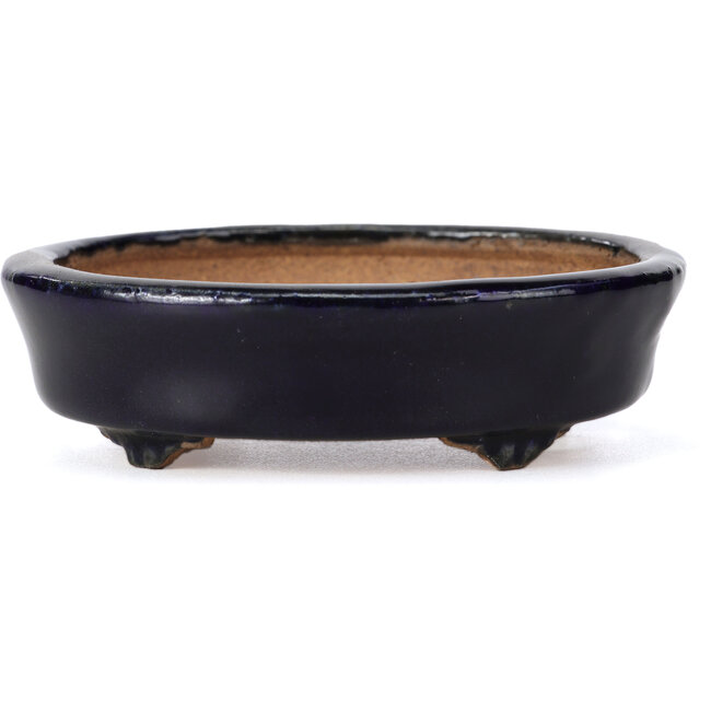 Vaso bonsai ovale blu di Hattori - 107 x 91 x 32 mm