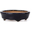 Oval blue bonsai pot by Hattori - 107 x 91 x 32 mm