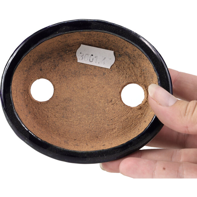 Pot à bonsaï ovale bleu par Hattori - 107 x 91 x 32 mm