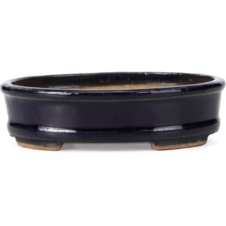  Hattori Tomoyuki 130 mm oval blue bonsai pot by Hattori, Tokoname, Japan