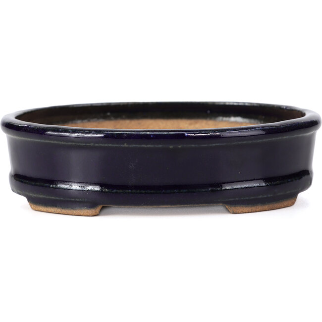 Vaso bonsai ovale blu di Hattori - 130 x 102 x 34 mm