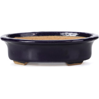  Hattori Tomoyuki 146 mm oval blue bonsai pot by Hattori, Tokoname, Japan