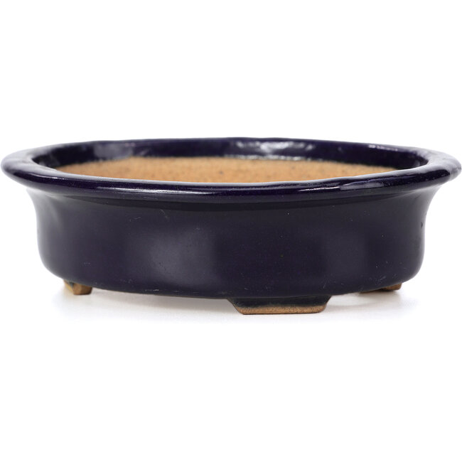 Pot à bonsaï ovale bleu par Hattori - 146 x 118 x 41 mm