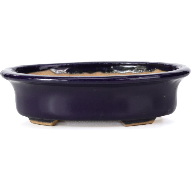 Ovale blaue Bonsaischale von Hattori - 146 x 118 x 41 mm