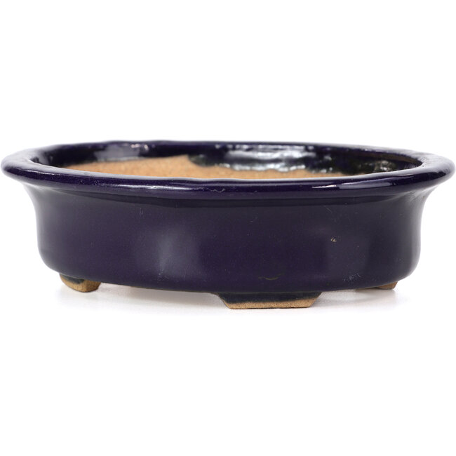 Ovale blauwe bonsaipot van Hattori - 146 x 118 x 41 mm