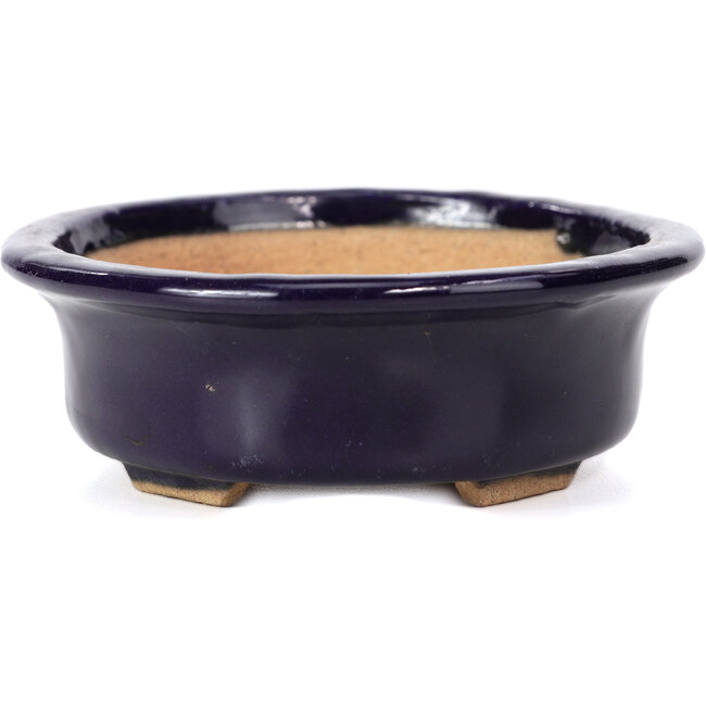 Ovale blaue Bonsaischale von Hattori - 146 x 118 x 41 mm