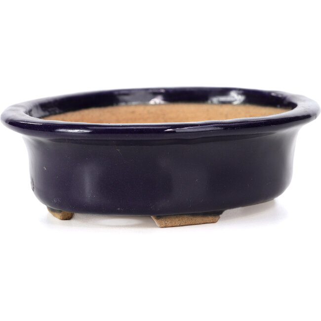 Vaso bonsai ovale blu di Hattori - 146 x 118 x 41 mm