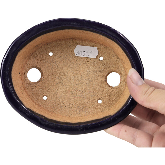 Maceta de bonsái azul ovalada de Hattori - 146 x 118 x 41 mm