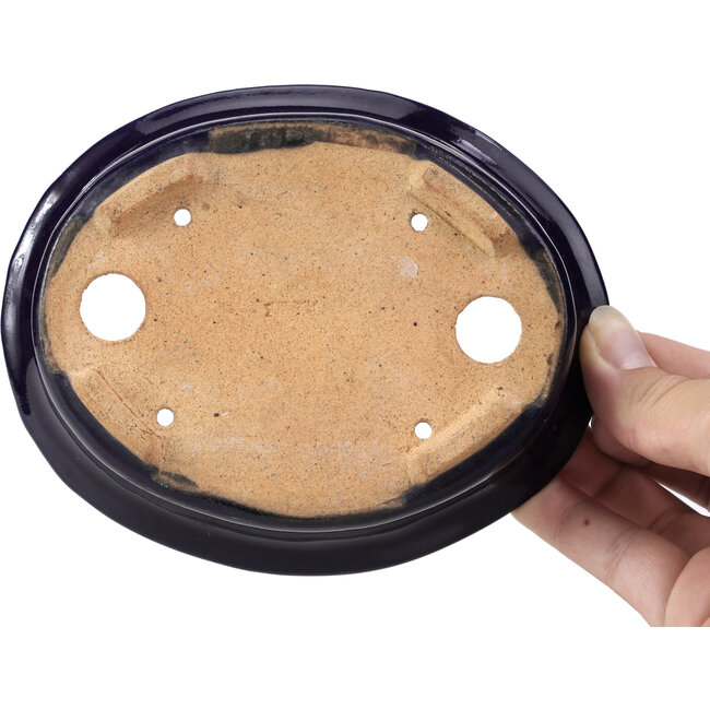 Maceta de bonsái azul ovalada de Hattori - 146 x 118 x 41 mm