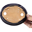 Pot à bonsaï ovale bleu par Hattori - 146 x 118 x 41 mm