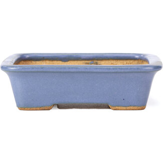  Hattori Tomoyuki 133 mm rectangular blue bonsai pot by Hattori, Tokoname, Japan