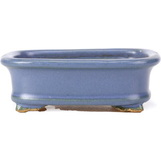  Hattori Tomoyuki 126 mm rectangular blue bonsai pot by Hattori, Tokoname, Japan