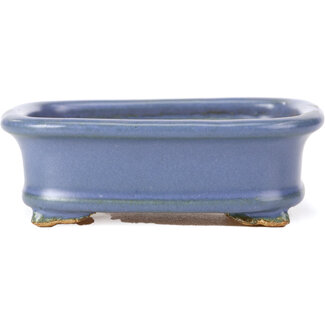  Hattori Tomoyuki Pot à bonsaï bleu rectangulaire 126 mm par Hattori, Tokoname, Japon