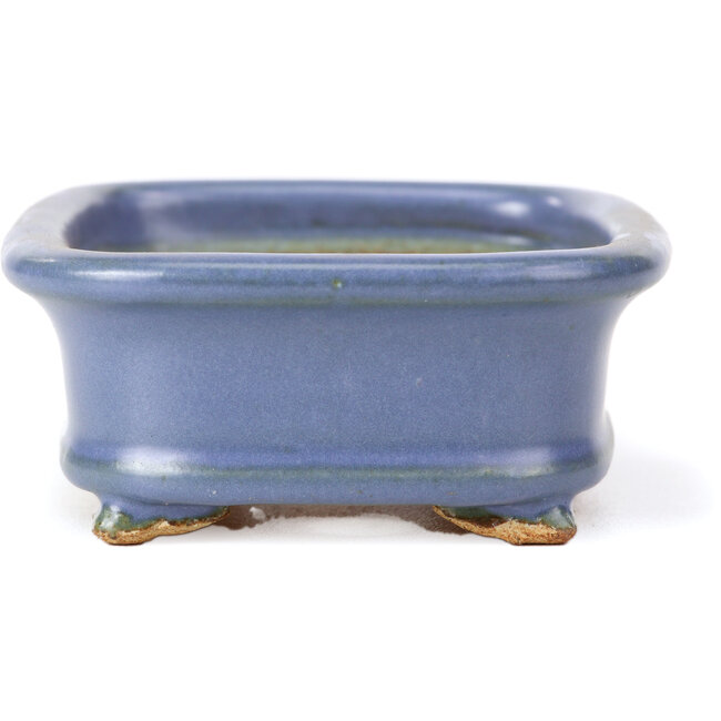 Vaso bonsai rettangolare blu di Hattori - 126 x 100 x 42 mm