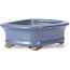 Rectangular blue bonsai pot by Hattori - 126 x 100 x 42 mm