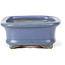 Pot à bonsaï rectangulaire bleu par Hattori - 126 x 100 x 42 mm