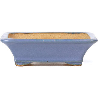  Hattori Tomoyuki 106 mm rectangular blue bonsai pot by Hattori, Tokoname, Japan