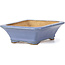 Rectangular blue bonsai pot by Hattori - 106 x 81 x 32 mm