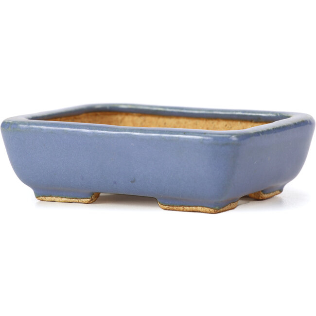 Maceta de bonsái rectangular azul de Hattori - 108 x 81 x 33 mm