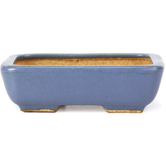  Hattori Tomoyuki 108 mm rectangular blue bonsai pot by Hattori, Tokoname, Japan