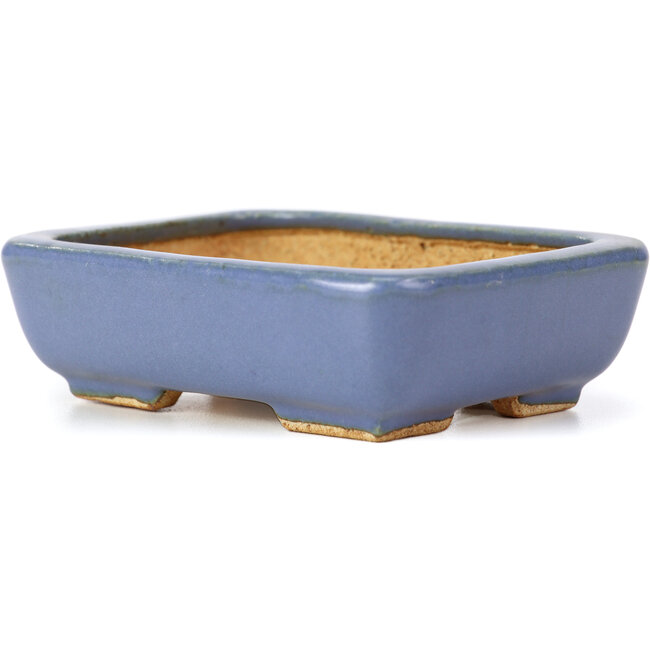 Pot à bonsaï rectangulaire bleu par Hattori - 108 x 81 x 33 mm