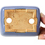 Pot à bonsaï rectangulaire bleu par Hattori - 108 x 81 x 33 mm