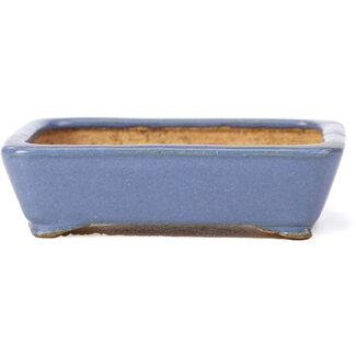  Hattori Tomoyuki 105 mm rectangular blue bonsai pot by Hattori, Tokoname, Japan