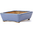 Pot à bonsaï rectangulaire bleu par Hattori - 105 x 82 x 30 mm