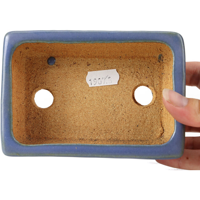 Pot à bonsaï rectangulaire bleu par Hattori - 133 x 93 x 37 mm