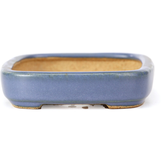 Maceta de bonsái rectangular azul de Hattori - 128 x 95 x 23 mm
