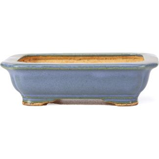  Hattori Tomoyuki 137 mm rectangular blue bonsai pot by Hattori, Tokoname, Japan